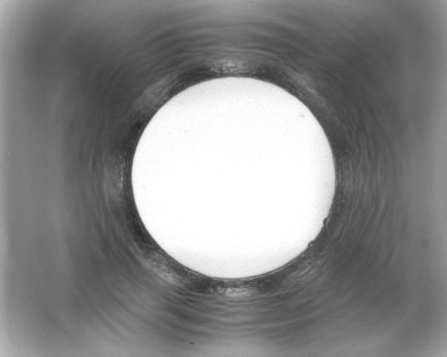 X0000065250645200603172205