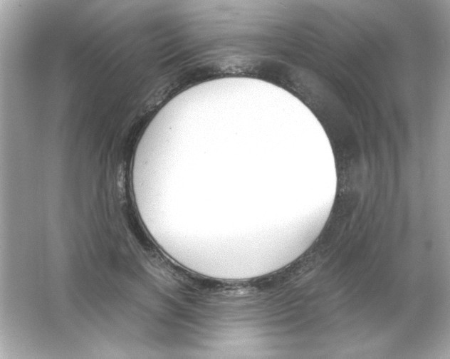 X0000065250646200603172205