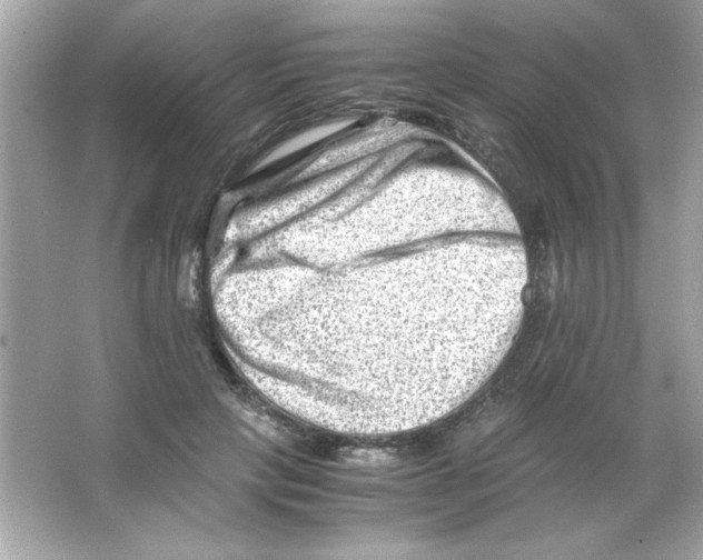 X0000065250649200603172205