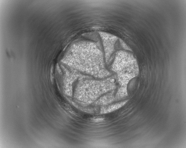 X0000065250651200603172205