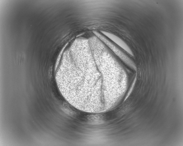 X0000065250652200603172205