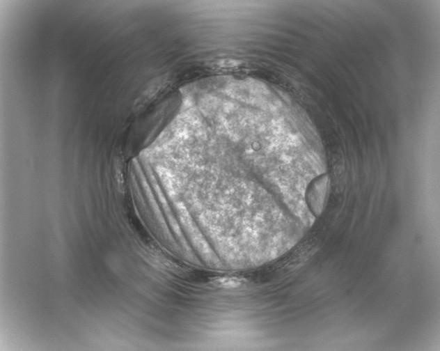 X0000065250654200603172205