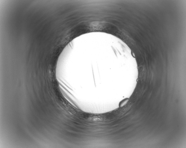 X0000065250655200603172205