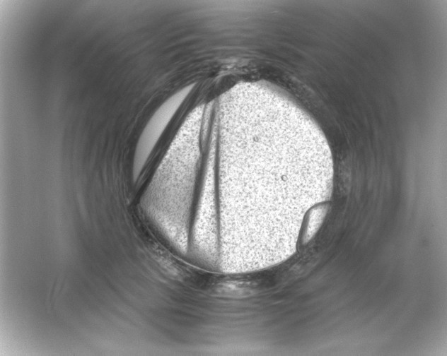 X0000065250657200603172205