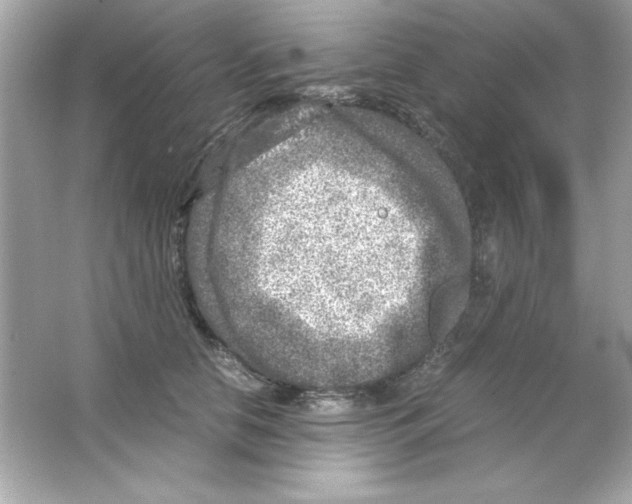 X0000065250658200603172205