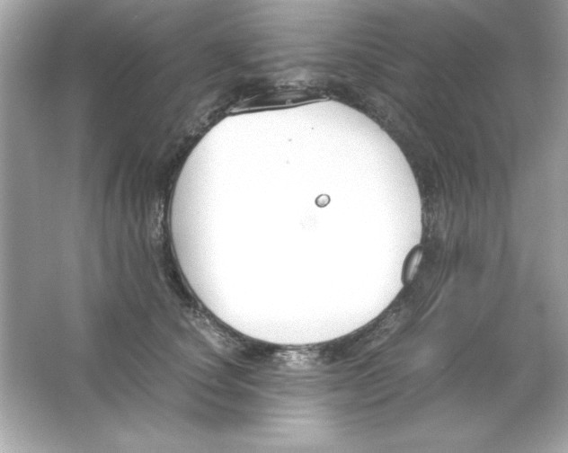 X0000065250660200603172205