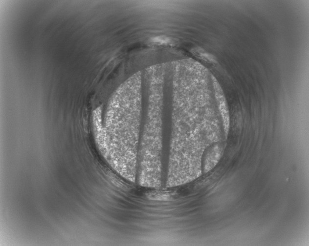 X0000065250661200603172205