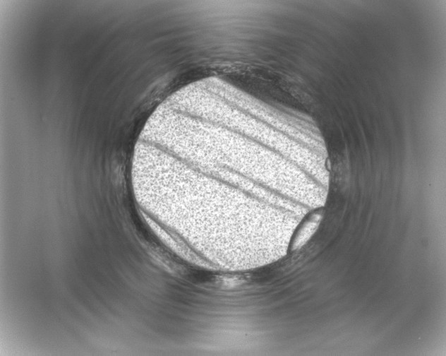 X0000065250662200603172205