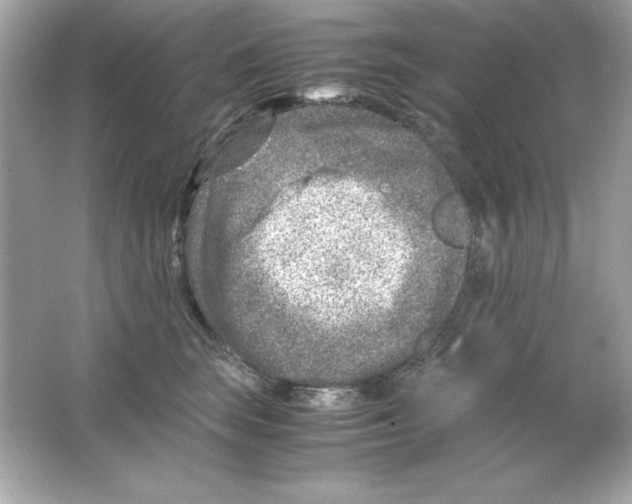 X0000065250663200603172206