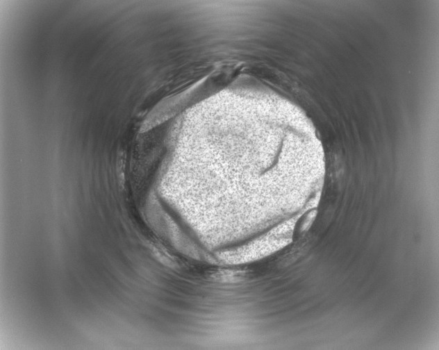 X0000065250664200603172206