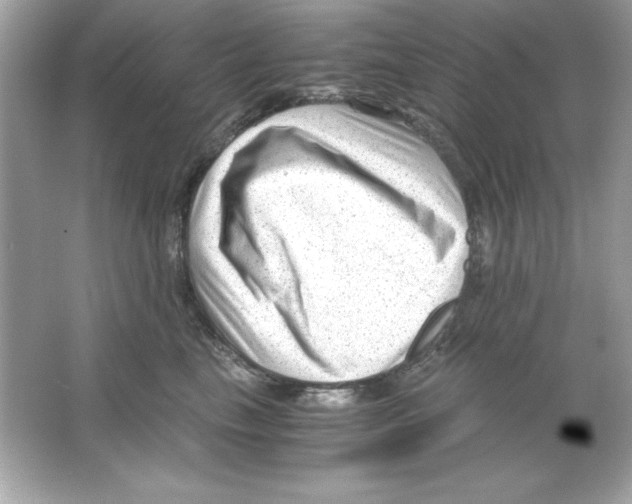 X0000065250665200603172206