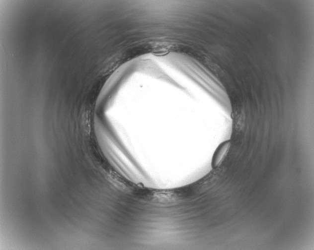 X0000065250666200603172206