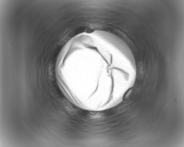 X0000065250667200603172206