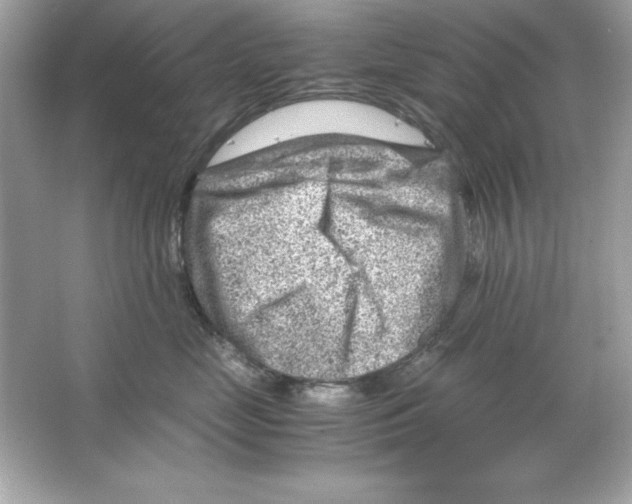 X0000065250669200603172206