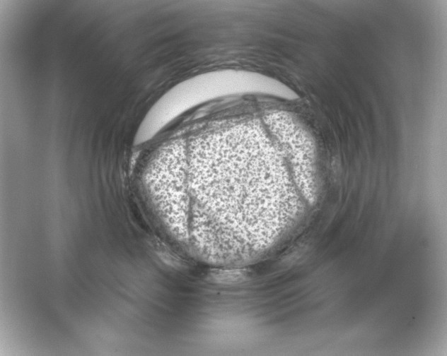 X0000065250671200603172206