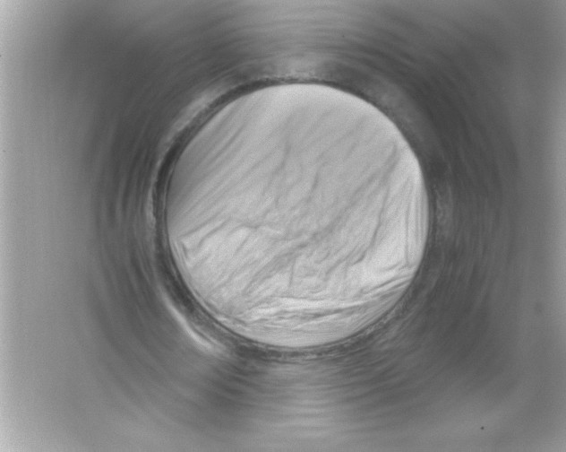 X0000065250674200603172205