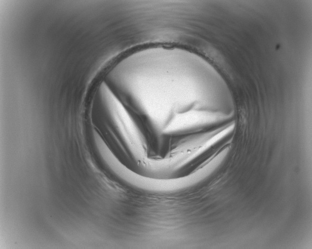 X0000065250676200603172205