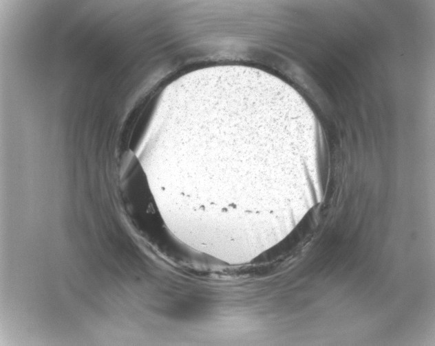 X0000065250677200603172205