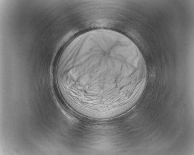 X0000065250678200603172205