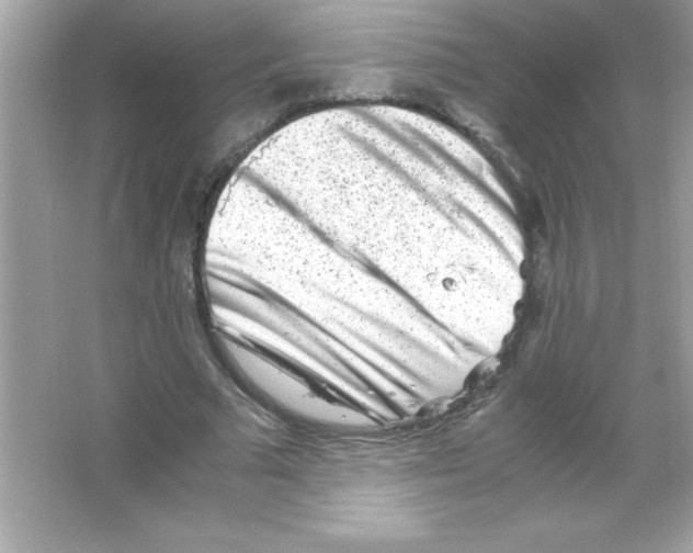 X0000065250681200603172205