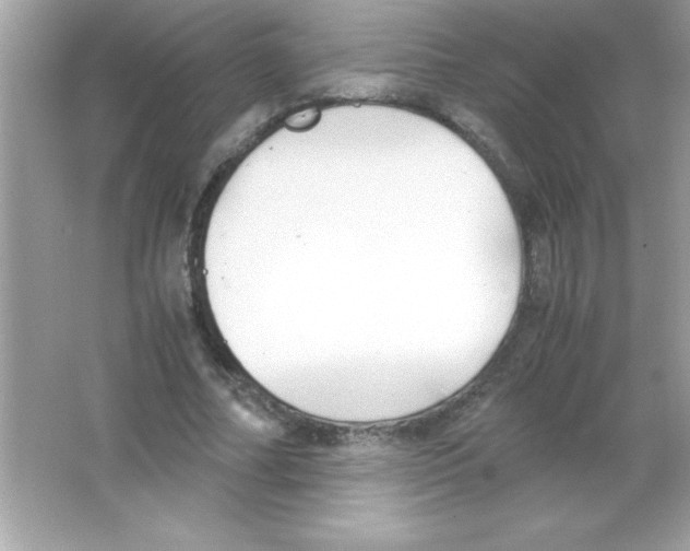 X0000065250682200603172205