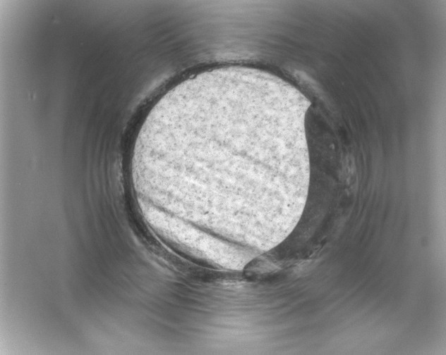 X0000065250684200603172205