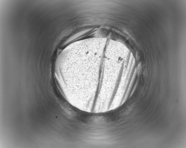 X0000065250685200603172205