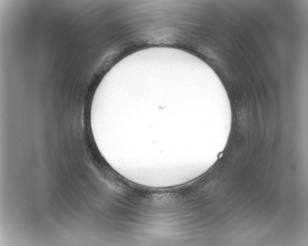 X0000065250686200603172205