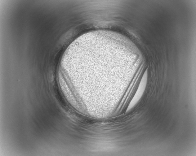 X0000065250687200603172205