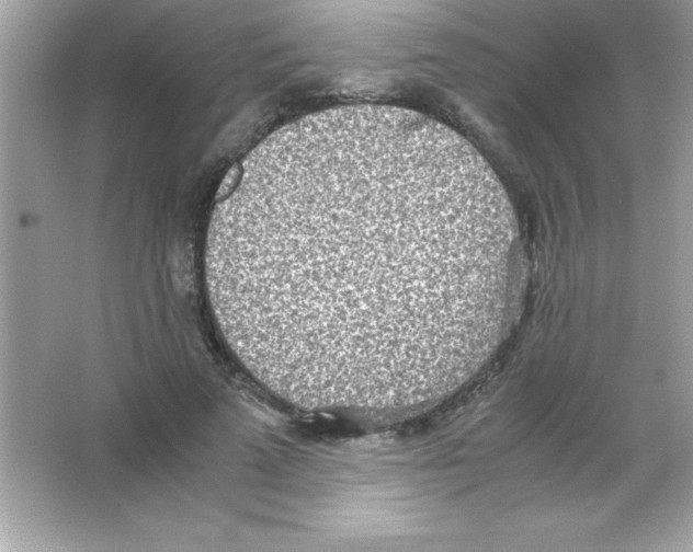 X0000065250689200603172205