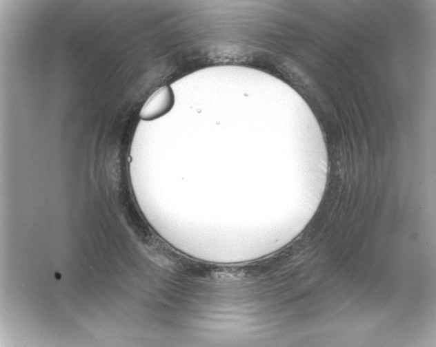 X0000065250690200603172205