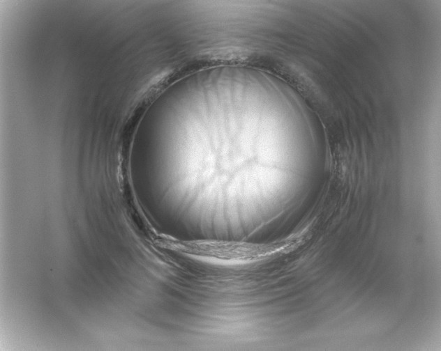 X0000065250692200603172205