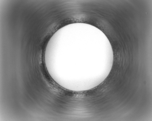 X0000065250694200603172204