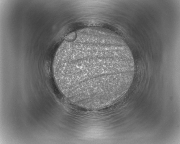 X0000065250695200603172204