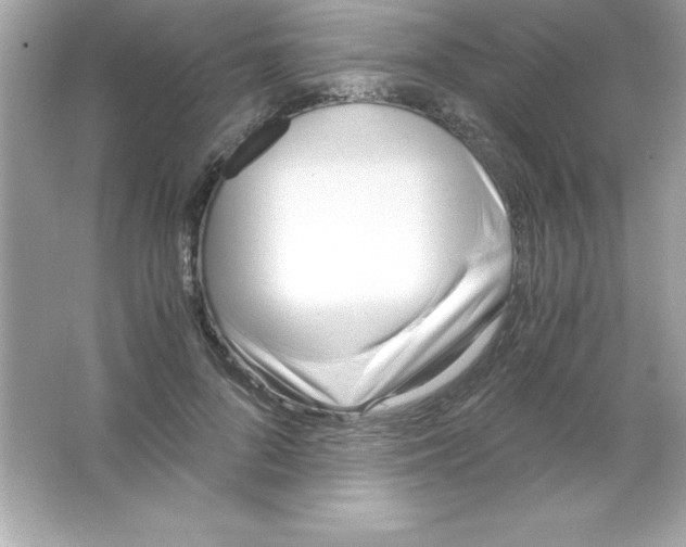 X0000065250696200603172204