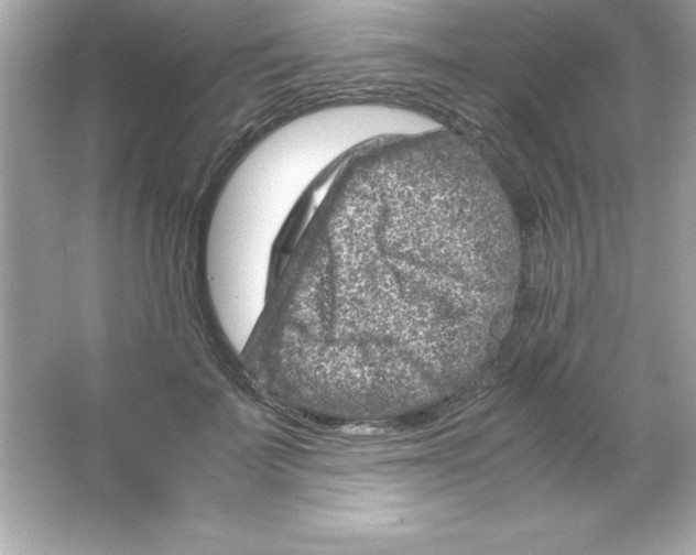 X0000065250699200603172204