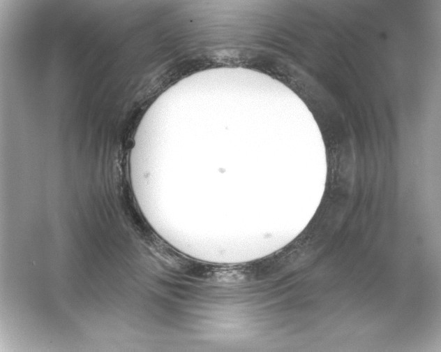 X0000065250702200603172204