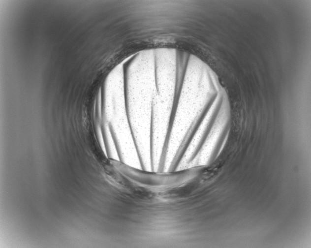 X0000065250704200603172204