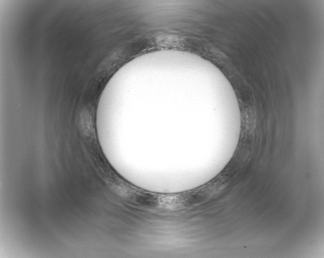 X0000065250705200603172204