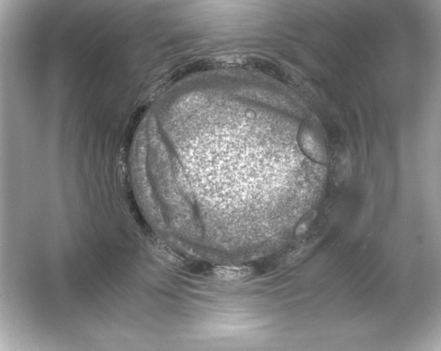 X0000065250707200603172204