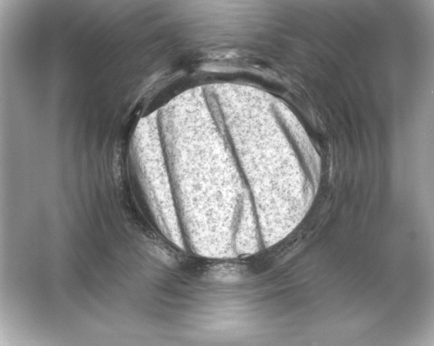 X0000065250708200603172204