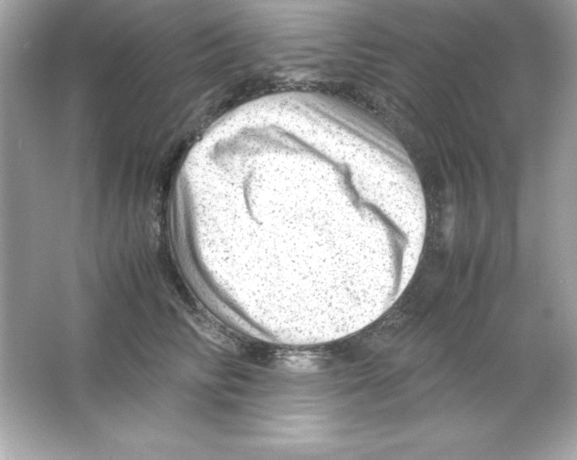 X0000065250710200603172204