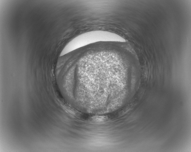 X0000065250711200603172204