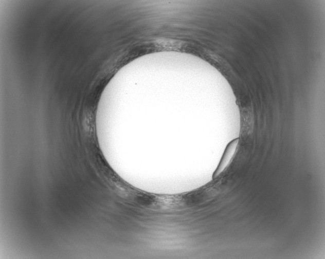 X0000065250713200603172204