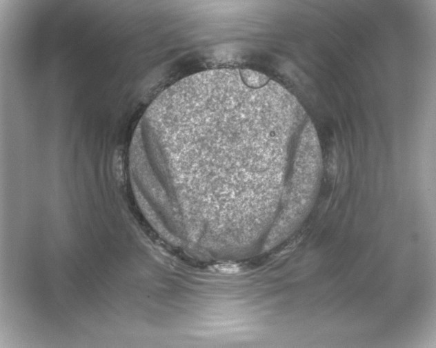 X0000065250715200603172204