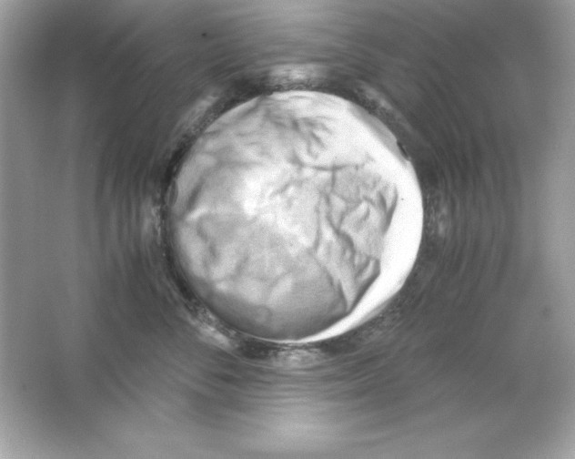 X0000065250716200603172204