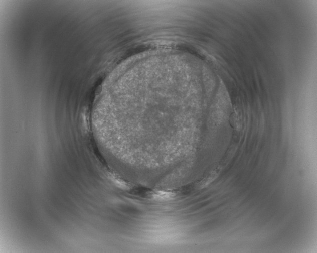 X0000065250718200603172204