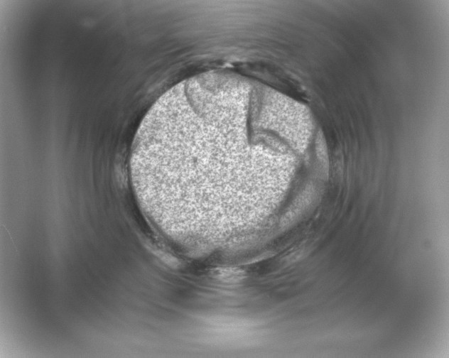 X0000065250719200603172204