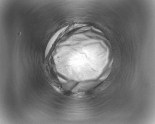 X0000065250720200603172204