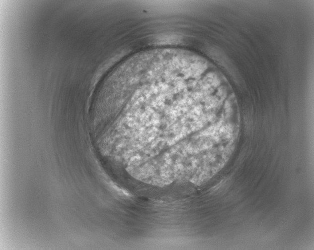 X0000065250721200603172203